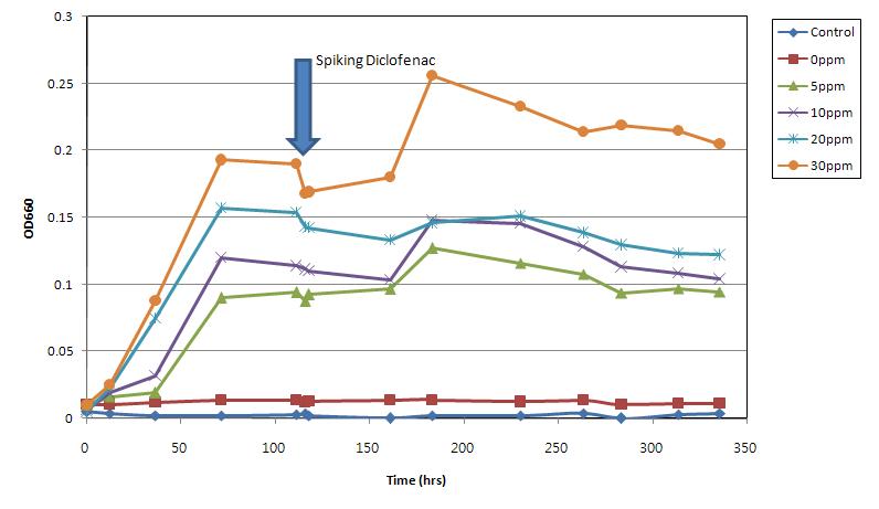 액체배지에서의 미생물 생장곡선과 diclofenac spiking 후 미생물 반응결과