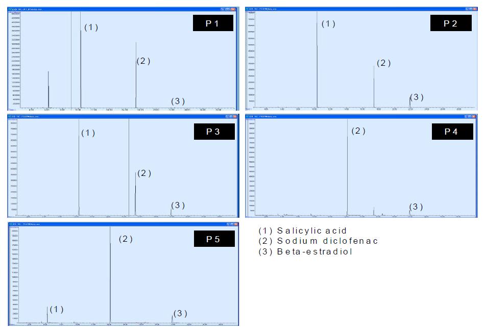 GC 분석결과 (P1 ∼ P5)