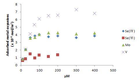 Adsorption isotherms of metal oxyanions on hematite