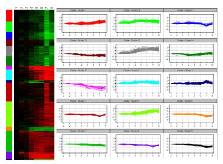 유전자 clustering: NALPCE를 K562에 처리 후 시간에 따른 유전자발현에 대한 microarray 분석