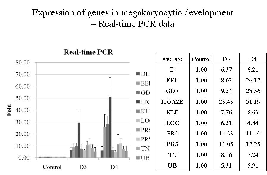 Real-Time PCR를 이용한 유전자 검증