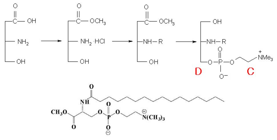 (R)-N-stearoyl-O-phosphocholine-D-serine methyl ester((R)-NALPCE)의 구조