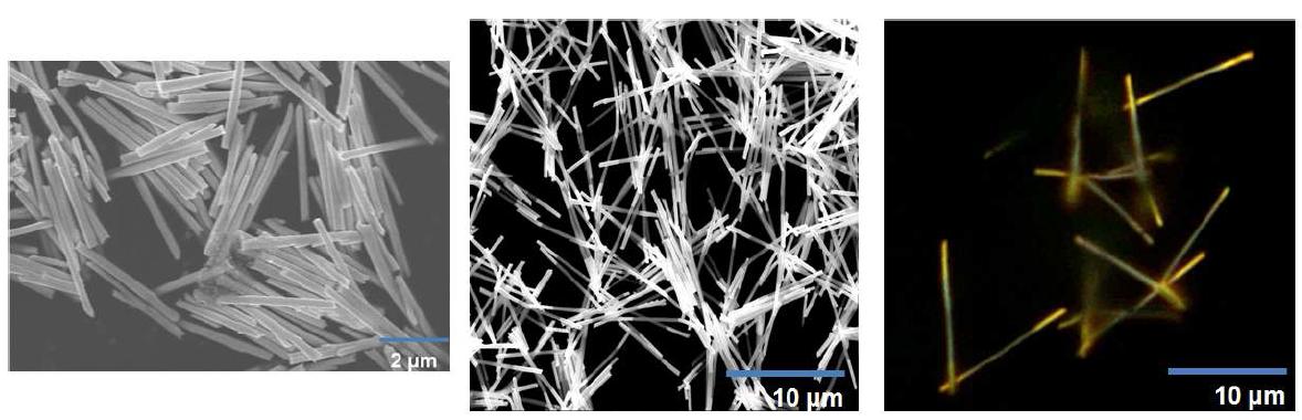 제조된 나노 막대의 SEM 사진 및 광학 현미경 사진