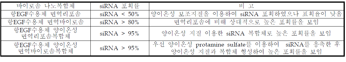 항EGF수용체 면역나노복합체의 siRNA 포획률