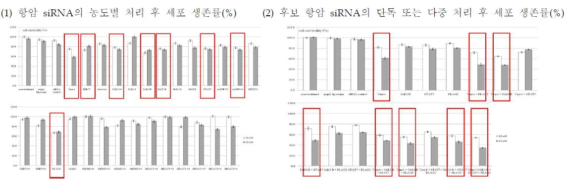 SK-OV-3 세포에서 다양한 siRNA의 항암활성 및 단독, 다중 처리 후 세포생존률 분석(%)