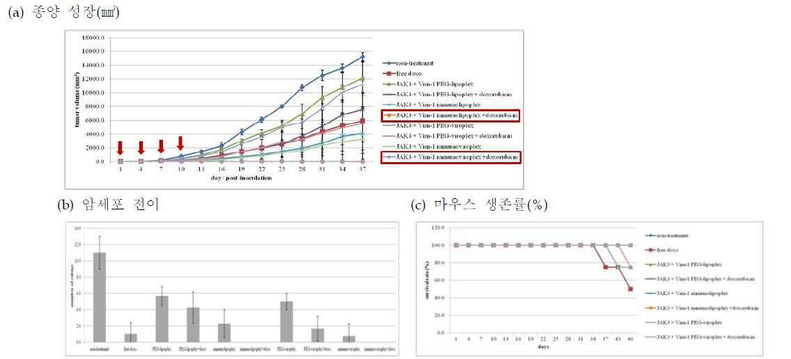 SK-OV-3 마우스 모델에서 항암 siRNA를 포획한 면역리포솜복합체와 면역바이로솜복합체의 동시 투여와 doxorubicin을 병용투여(?)에 따른 (a) 암성장 억제 활성과 (b) 암세포 전이 억제, (c) 마우스 생존률 비교