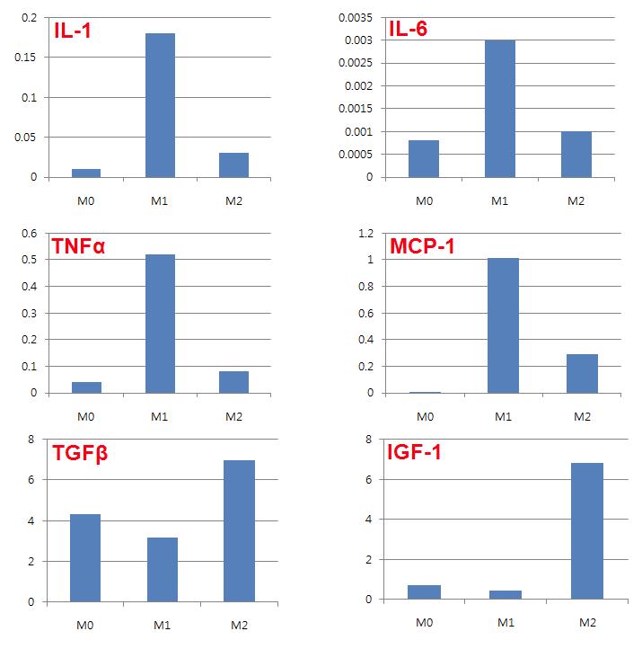 Cytokine expression of bone marrow derived macrophages