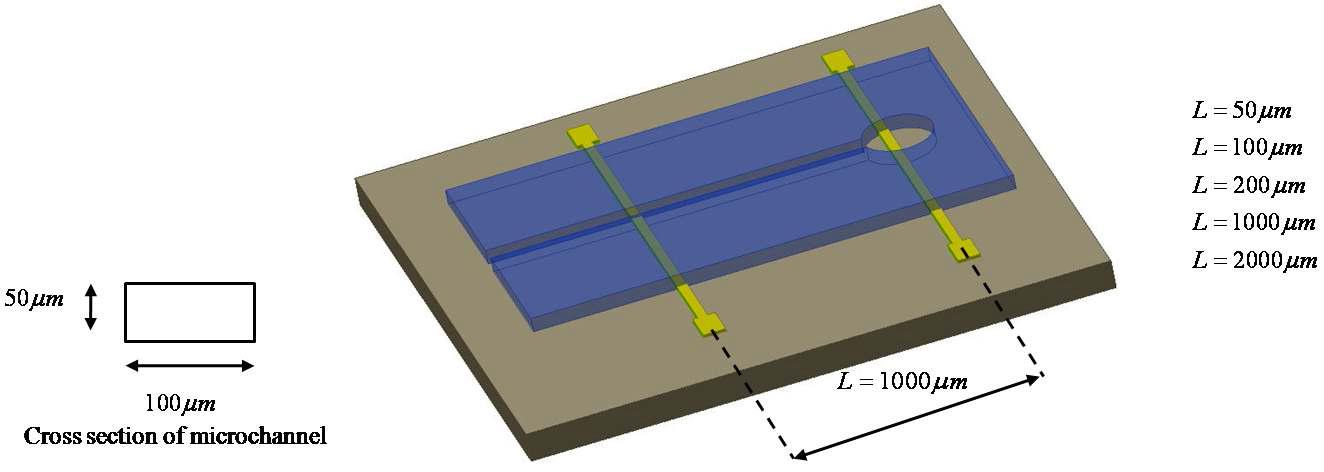 Electroosmosis 마이크로 펌프의 설계 개념도.