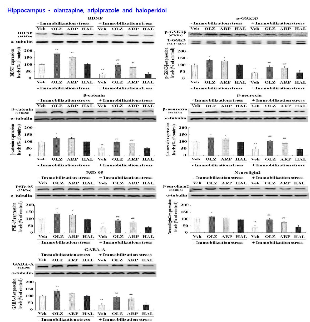 Effects of antipsychotic drugs on the levels of BDNF, phospho-ser9-GSK-3β, β-catenin, β-neurexin, PSD-95, neurologin 2 and GABA-A expression in hippocampus of rats