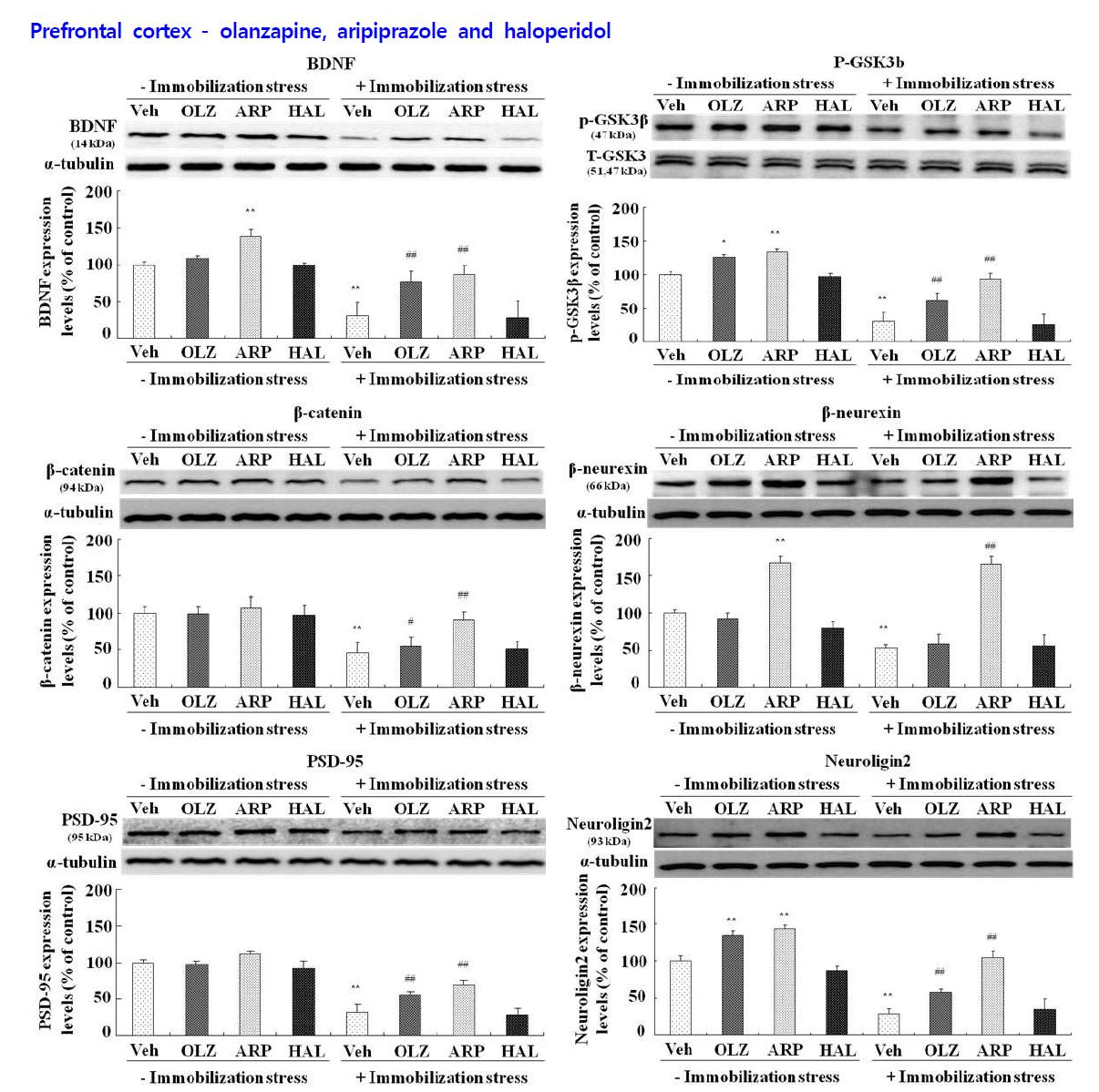 Effects of antipsychotic drugs on the levels of BDNF, phospho-ser9-GSK-3β, β-catenin, β-neurexin, PSD-95 and neurologin 2 expression in prefrontal cortex of rats.