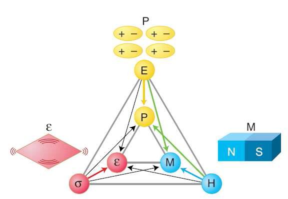 강유전성:전기장(E)-분극(P), 강자성:자기 장(H)-자화(M), 강탄성:스트레스(σ)-스트레인(ε) 의 상호작용