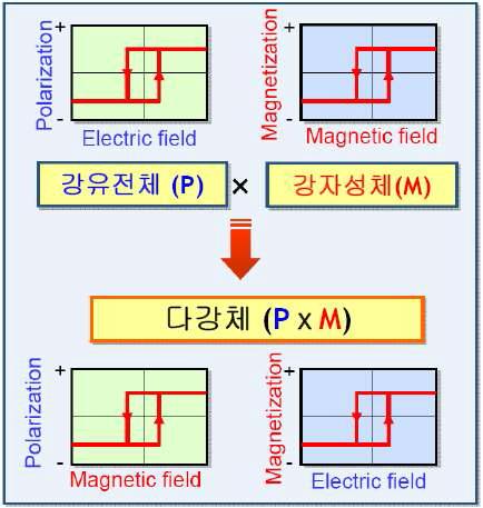 강유전성(P)과 강자성(M)의 상호결합을 통한 다강체의 자기전기효과