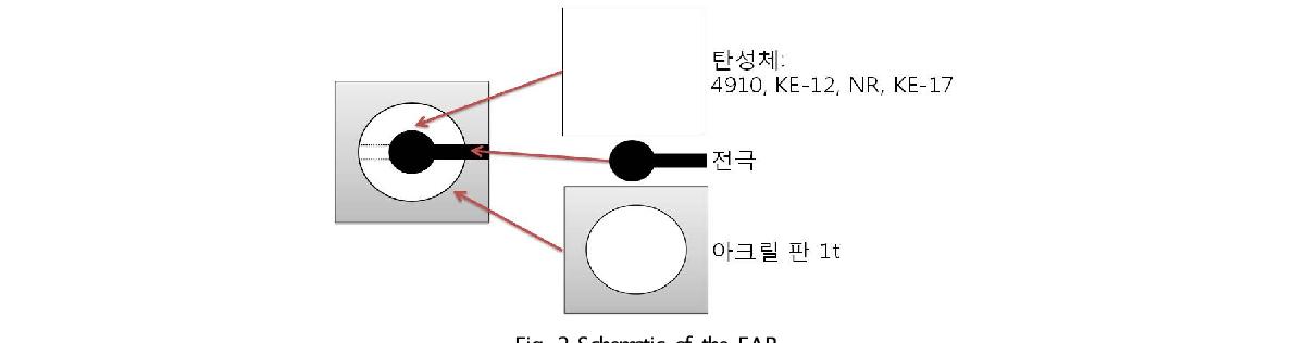 Schematic of the EAP