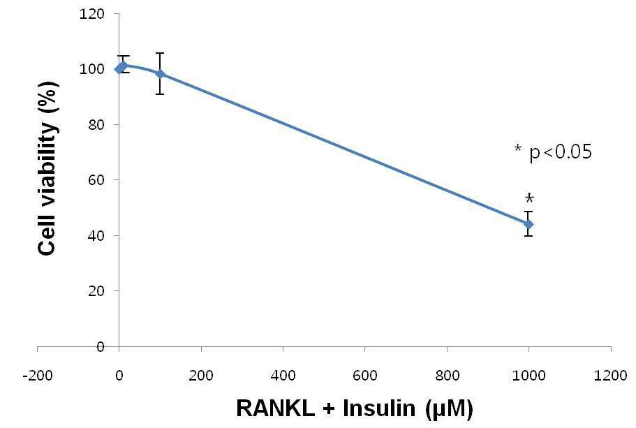 마우스로부터 분리한 파골전구세포에 RANKL과 인슐린을 동시 처리한 결과 100nM에서는 파골전구세포의 증식에 영향을 끼치지 않았으나 1mM의 상당히 높은 농도의 인슐린 처리 시 약 50% 정도 세포 수가 감소함을 확인하였다. 세 번 반복실험 수행한 결과임.