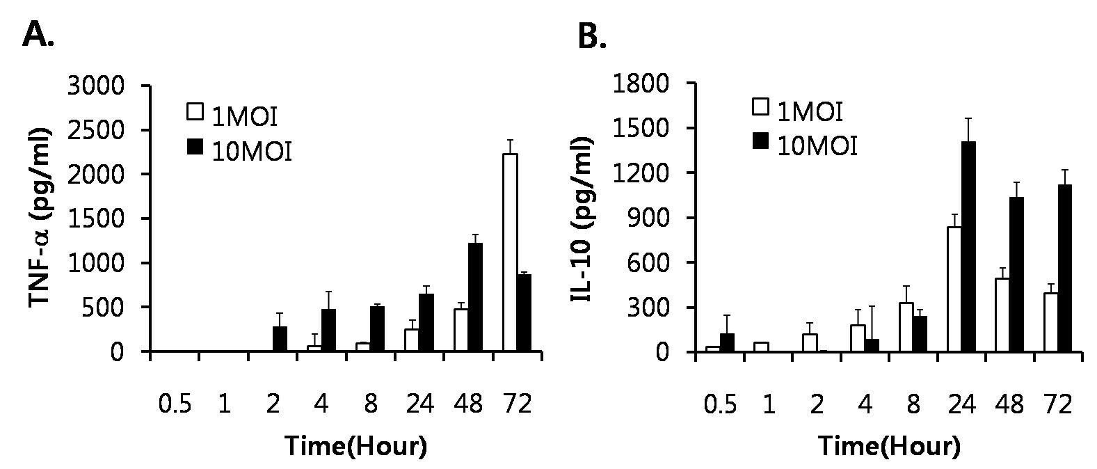 S.typhimurium을 감염시 시간에 따른 cytokine의 분비량의 차이