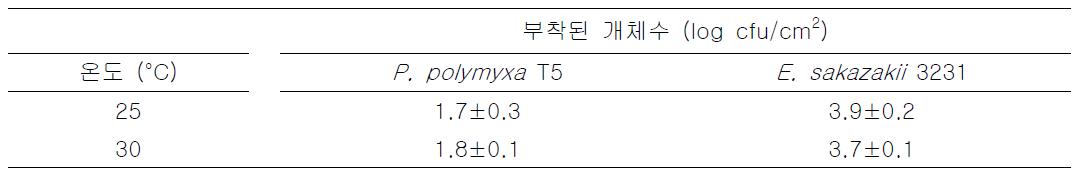 25°C와 30°C에서 4시간 동안 부착 유도 후 stainless steel 에 부착된 P. polymyxa T5와 E. sakazakii 3231의 population