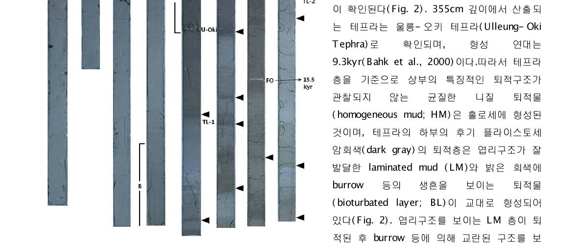 Photographs of the core ROV 07-2. Black arrow, LM; B, foraminiferal barren zone; FO, foraminiferal ooze. 이며, 그