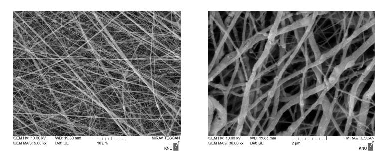 electrospinning으로 제조된 LiFePO4 nanowire의 SEM image