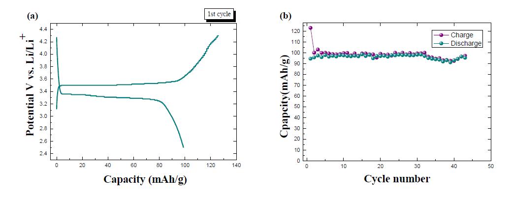 Electrospinning method로 제조된 LiFePO4 nanowire의 충·방전 특성