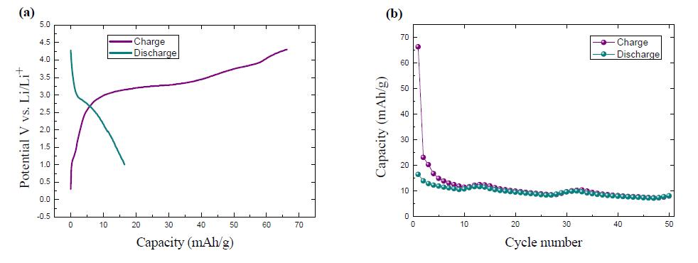 a-Si/NiSix nanowire와 LiFePO4 nanowire를 양·음극으로 한 nano battery cell의 충·방전 특성