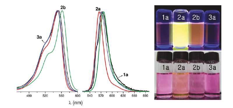 (Left) Normalized UV-vis absorption and emission spectra and (upper right) photos of four species (1a, 2a, 2b, and 3a) under UV irradiation (365 nm) in acetonitrile. (Lower right) The same vials and samples shown under white light: 10 μM.