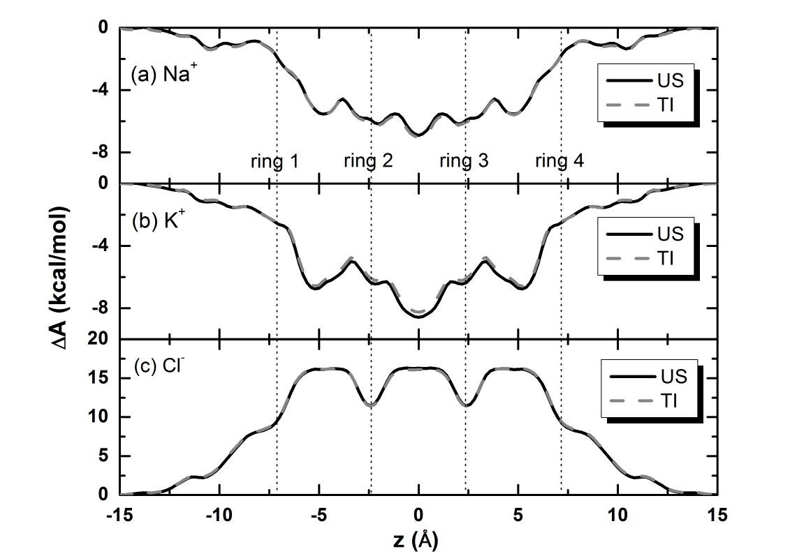 US 방법과 TI 방법으로 구한 (a) Na+, (b) K+, 그리고 (c) Cl-의 위치에 따른 PMF 곡면. 합성 이온채널인 4×cyclo[-(D-Ala-Glu-D-Ala-Gln)2-] 의 양이온에 대한 선택성을 보여준다.