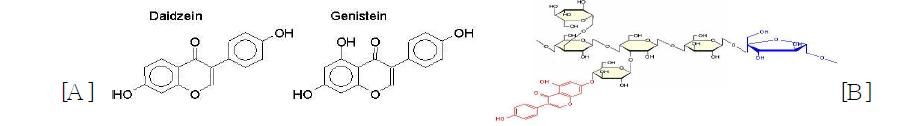 isoflavone (genistein, daidzein) structures [A ] and a proposed structure of Gluvone [B].