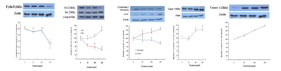 Biochemical markers expression in M CF-7 cells by b-GV.