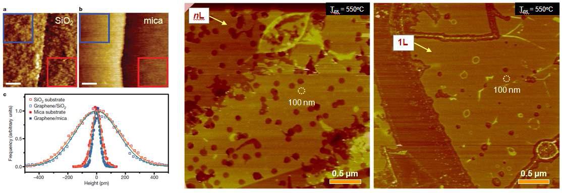 (좌) 기판의 roughness와 그래핀의 표면 roughness의 상관 관계 연구 (C. Lui et al. Nature, 2009). (중) 550oC에서 산화된 nL graphene/mica의 AFM 이미지. (우) 550oC에서 산화된 1L graphene/mica의 AFM 이미지.