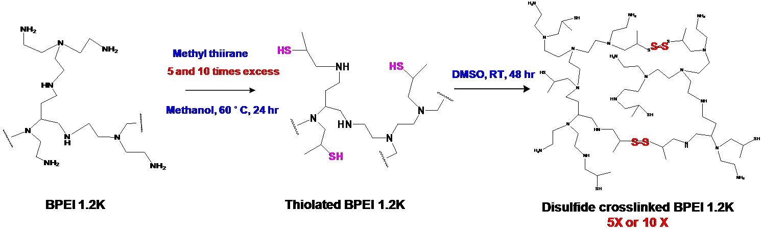 싸이올화 과정을 통한 이황화 결합을 지닌 disulfide-PEI 고분자의 합성