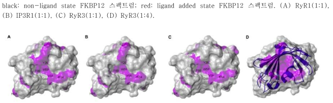 FKBP12 3D 구조에 결합부위 표기pink: ligand 결합부위; blue: FKBP12 2차구조; grey: FKBP12 3차구조 표면. (A) IP3R1, (B) RyR1, (C) RyR3, (D) FK506.