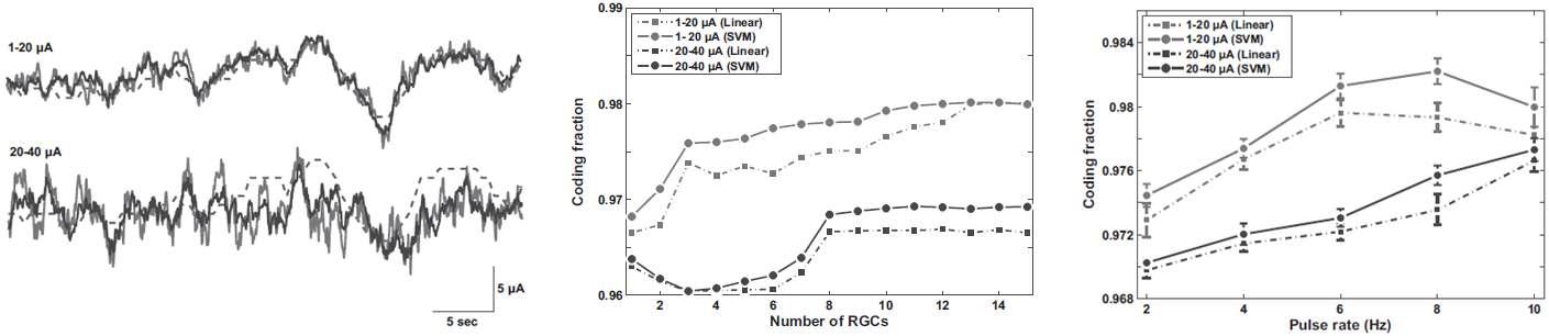 전기자극의 형태로 변환되어 망막에 전달된 시각정보를 spike train decoding을 통해 복원한 결과 (좌) 자극의 세기변조 범위가 1-20 μA일 때와 20-40 μA 일 때의 결과 비교, (중) decoding filter에 적용되는 망막신결절세포의 개수에 따른 디코딩 결과 비교, (우) 자극율에 따른 디코딩 결과 비교