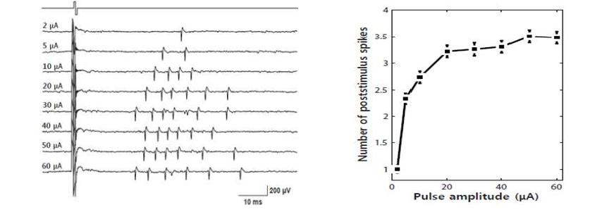 다양한 세기의 자극에 의해 유발된 spikes와 (좌) 세기별로 유발되는 spike의 개수를 나타낸 응답곡선(우)