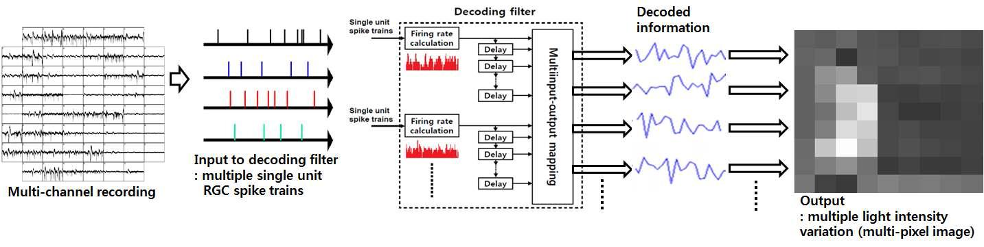 전기자극에 응답하는 망막신경망 활동으로부터 입력시각 정보를 복원하기 위한 방법의 개념도