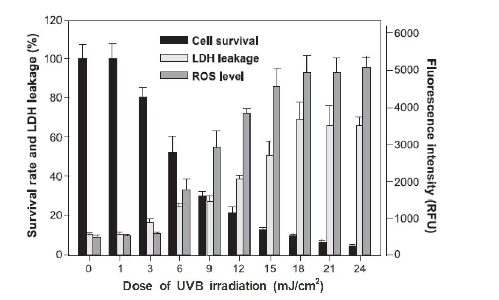 Cytotoxic effect of UVB irradiation in HaCaT. Confluent cells grown in 24-well culture plates were exposed to 1-24 mJ/cm2.