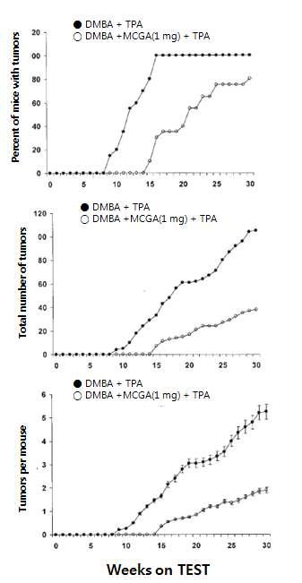 Inhibitory effect of MCGA3 on DMBA-initiated and TPA-promoted tumor formation in CD-1 mice.