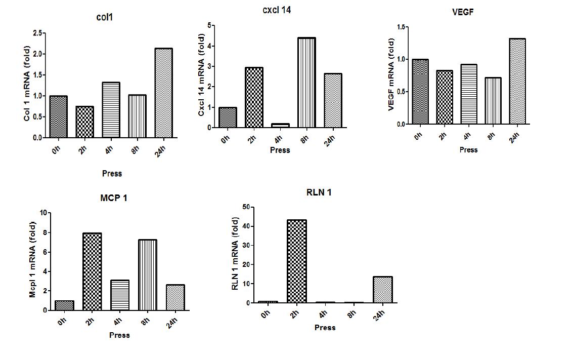 Gene expression by mechanical force in periodontal ligament cells.