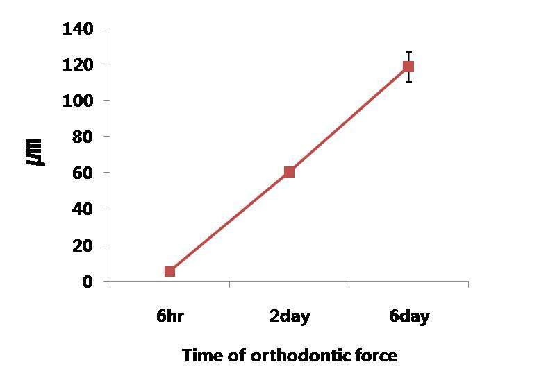 Measurements of distance between the first molar and the 2nd molar by orthodontic tooth movement for 6h, 2d and 6d increased in a time-dependent manner. Measurements (mean ± SD) are from 5 independent experiments.