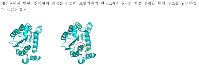 DEAD-box RNA helicase의 ATPase catalytic fragment의 apo form(좌)와 substrate bound form(우)