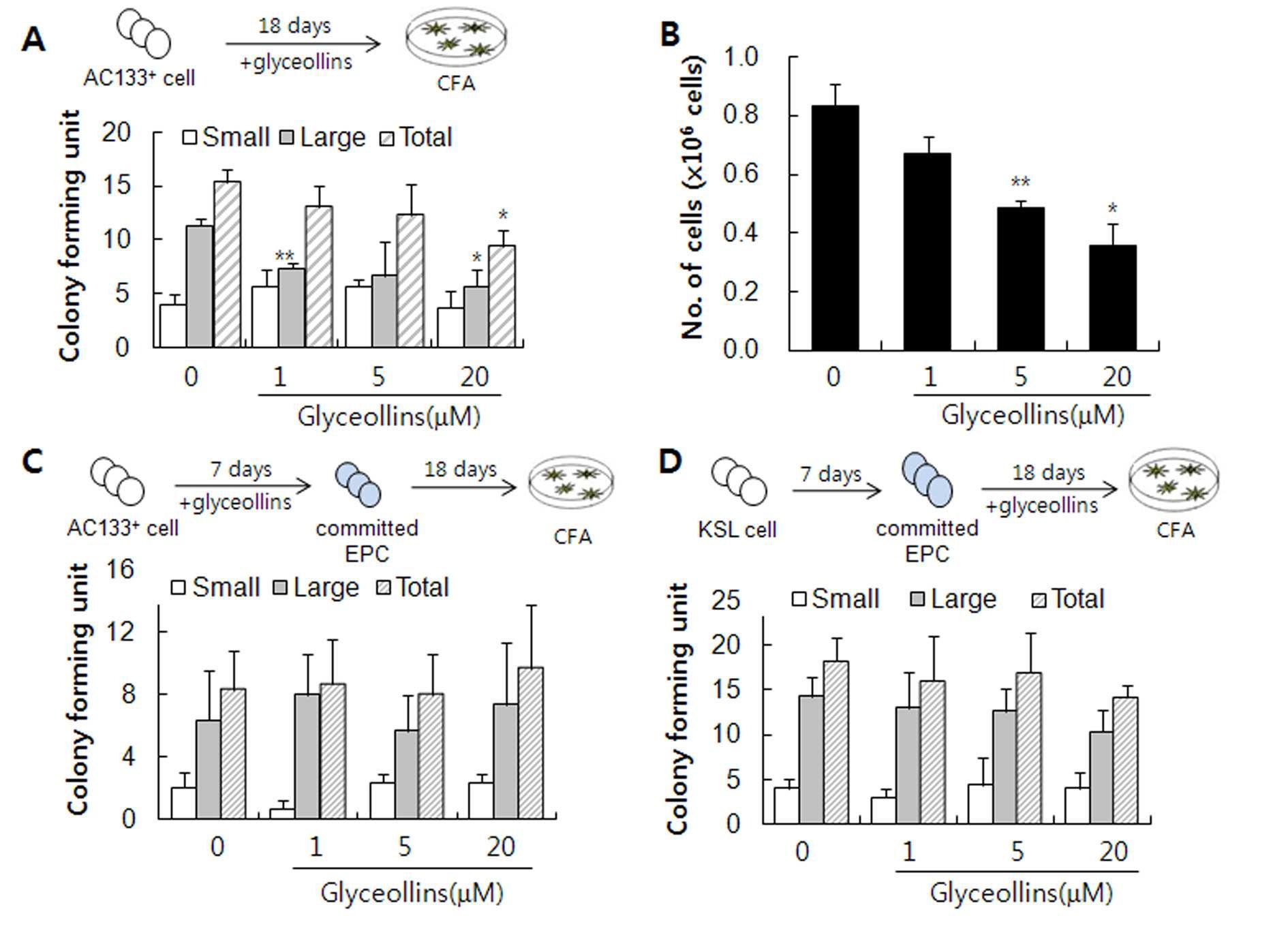 glyceollin 의 사람제대혈유래 EPC분화억제효과