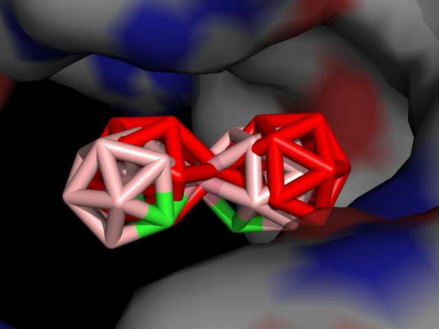 HIV Protease의 Docking 결과