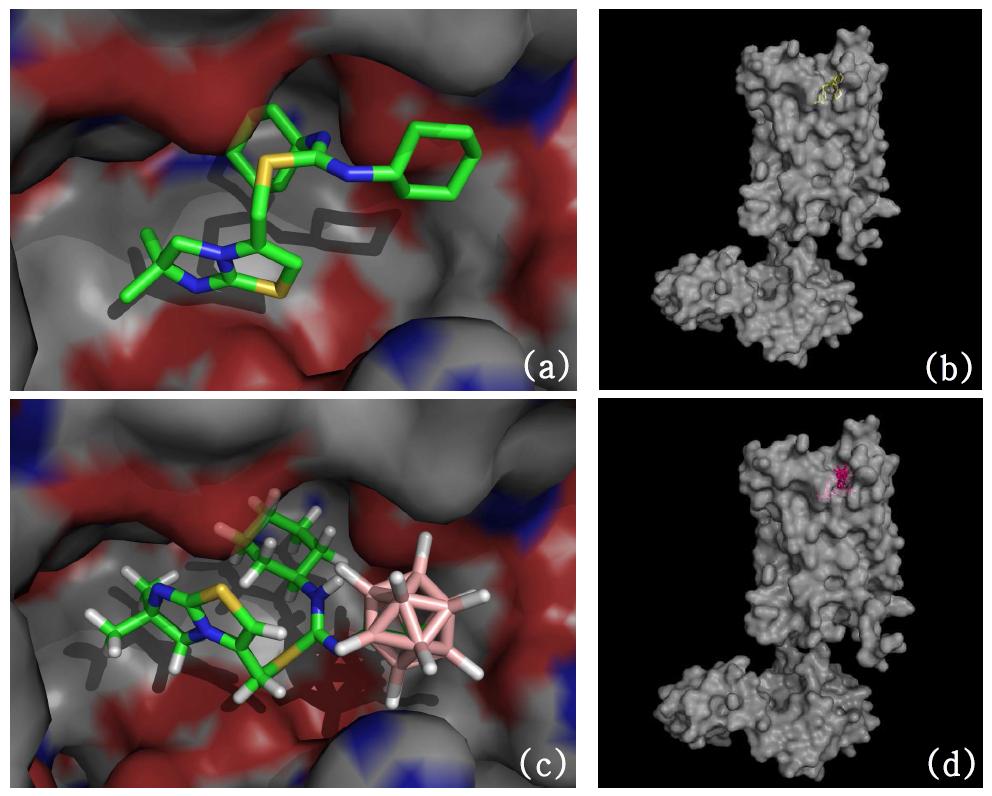 (a)CXCR4 길항제인 IT1t의 binding mode (b)전체적인 CXCR4 crystal structure와 original crystal ligand의 binding mode (c)LigandFit docking 결과 ligand 10c의 the best-docked pose (d) CXCR4-ligand 10c의 복합체의 전체적인 모습