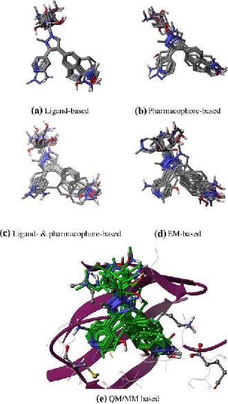 3D QSAR 방법에서 쓰이는 여러 종류의 alignment를 이용한 결과.