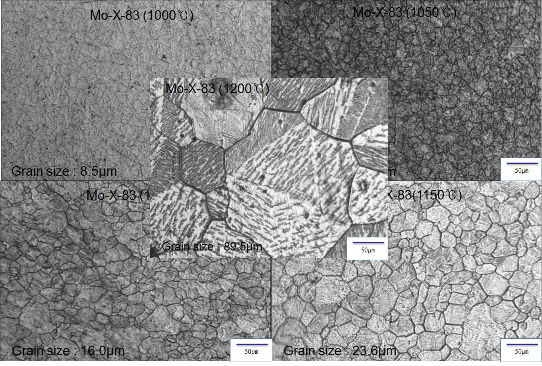 Optical Micrographs showing prior austenite grains in Mo-X steel