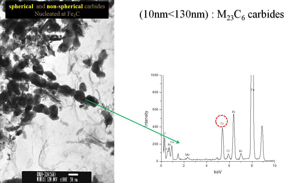 TEM results showing 2nd population within the alloy matrix