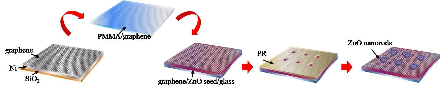 그래핀위에 ZnO 나노막대를 수혈 합성을 통해 선택적으로 성장.