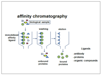 Scheme for affinity chromatography