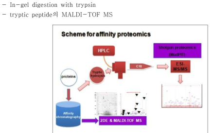 General scheme for protein identification