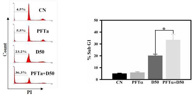 Induction of autophagy by PFT α enhances DHA -induced apoptosis as assessed by flowcytometry assay