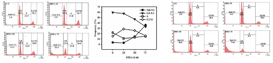 Effect of DHA on the cell cycle of HeLa and SiHa cells.